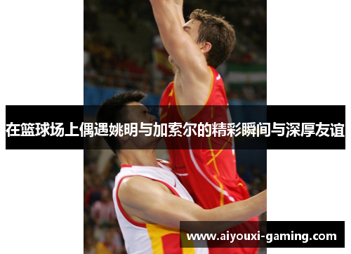在篮球场上偶遇姚明与加索尔的精彩瞬间与深厚友谊